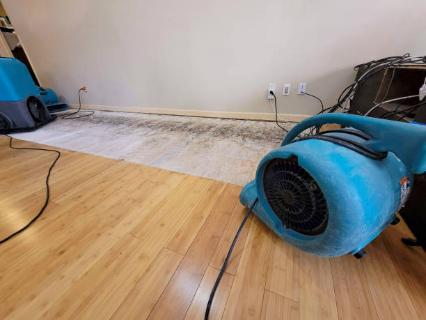 Professional Flood Damage Cleanup technician working in Malvern, PA
